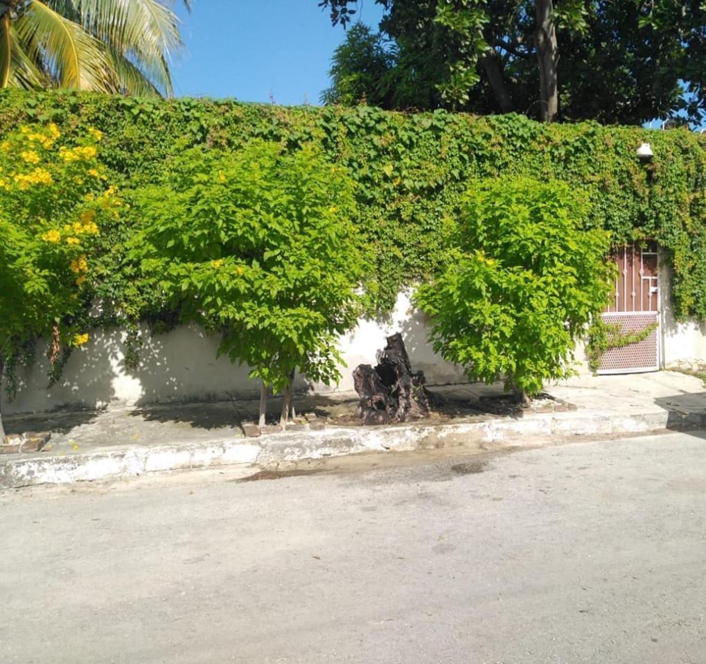 הוילה פלאייה דל כרמן Bonita Casa A Dos Cuadras Del Mar מראה חיצוני תמונה